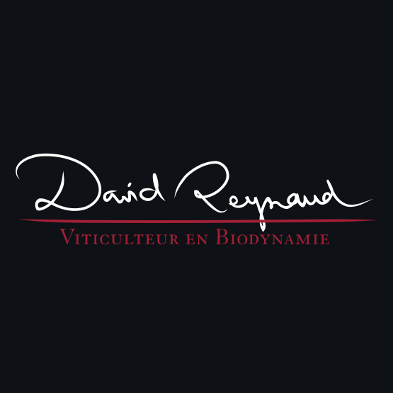 DavidReynaud2